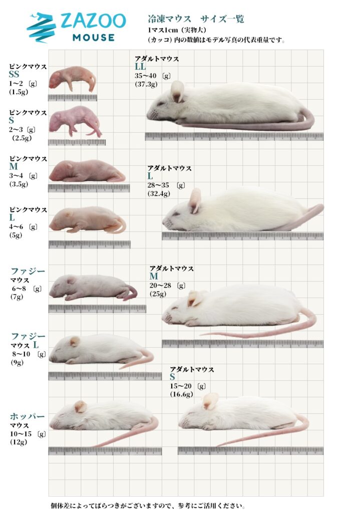 冷凍マウス各種 - 爬虫類/両生類用品