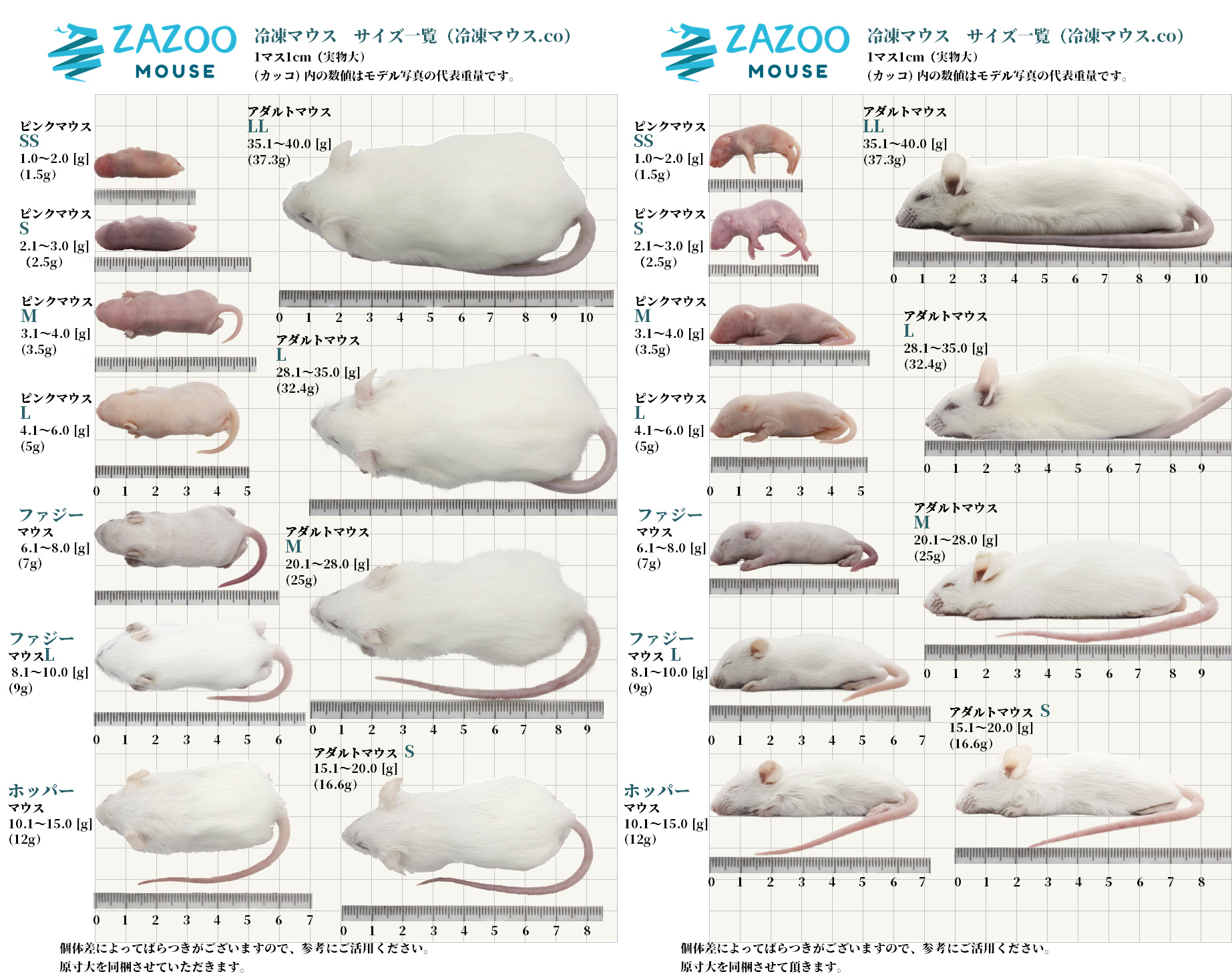 ZAZOO 冷凍マウスドットコム | あなたのペットがいつまでも健康で